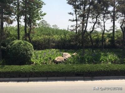 鄭州恒大綠洲二手房價格_鄭州恒大綠洲戶型圖大全_鄭州恒大綠洲二手房走勢