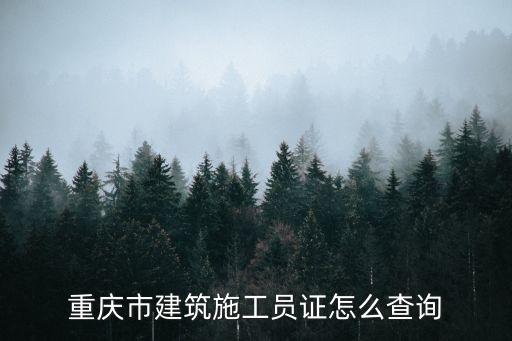 證書查詢重慶建筑網站下載_重慶建筑證件查詢網站_重慶建筑證書查詢網站