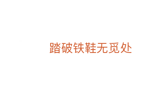 踏破鐵鞋無(wú)覓處