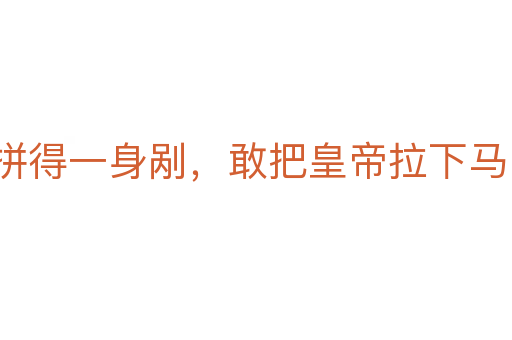 拼得一身剮，敢把皇帝拉下馬
