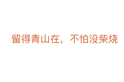 留得青山在,不怕沒柴燒
