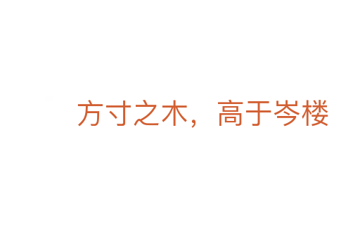 方寸之木,高于岑樓