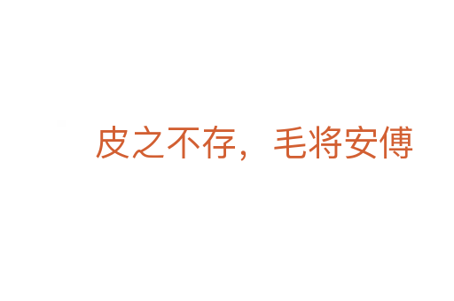 皮之不存,毛將安傅