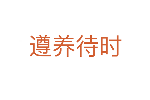 遵養待時