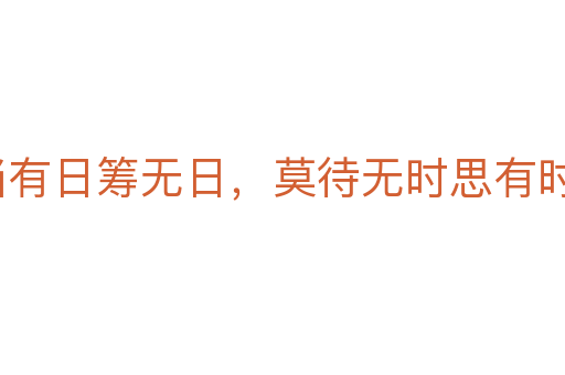 寧當有日籌無日,莫待無時思有時