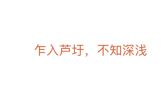 乍入蘆圩，不知深淺