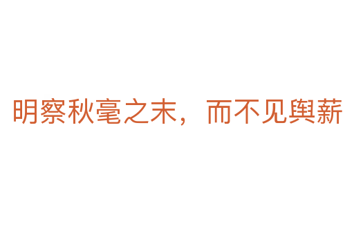 明察秋毫之末,而不見輿薪