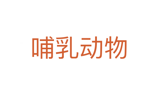 哺乳動物