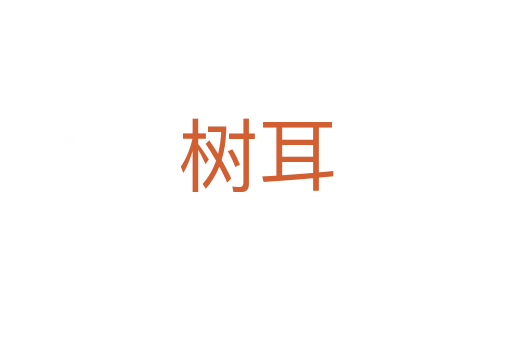樹耳