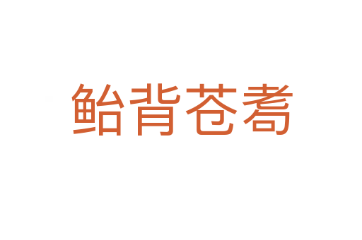 鮐背蒼耈