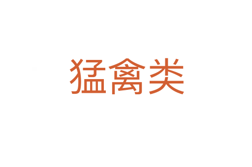 猛禽類