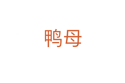 鴨母