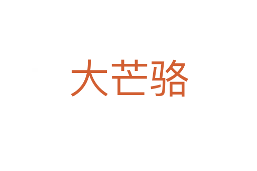 大芒駱