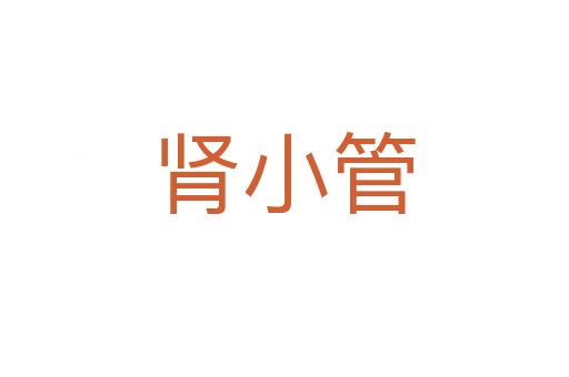 腎小管