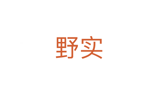 野實(shí)
