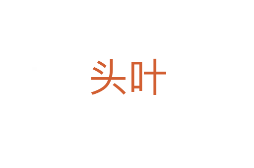 頭葉