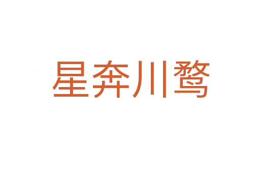 星奔川鶩