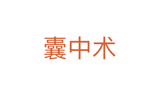 囊中術