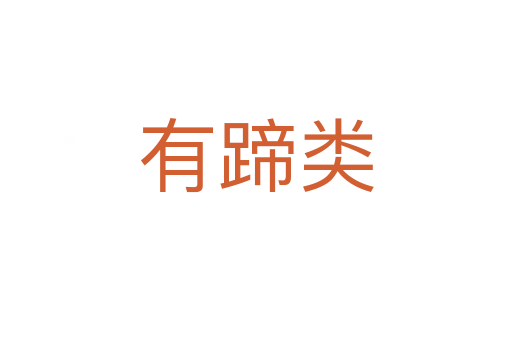 有蹄類(lèi)