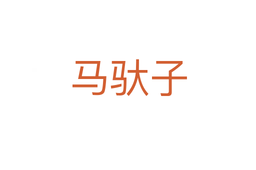 馬馱子