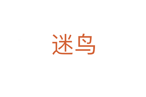 迷鳥