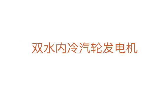 雙水內(nèi)冷汽輪發(fā)電機