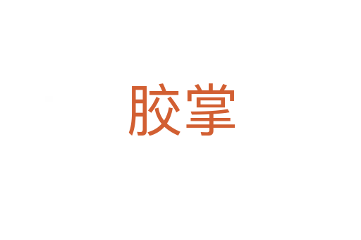 膠掌