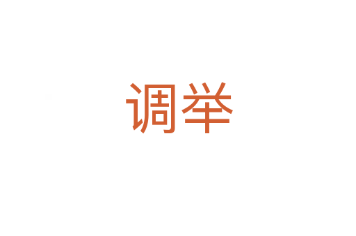 調(diào)舉