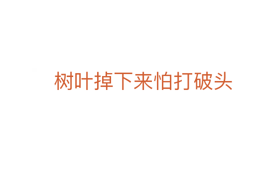 樹葉掉下來怕打破頭