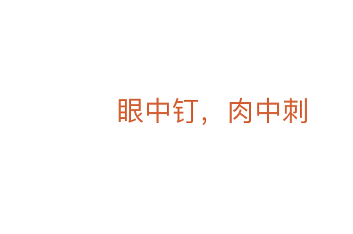 眼中釘,肉中刺