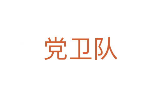 黨衛(wèi)隊(duì)
