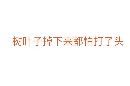 樹葉子掉下來都怕打了頭