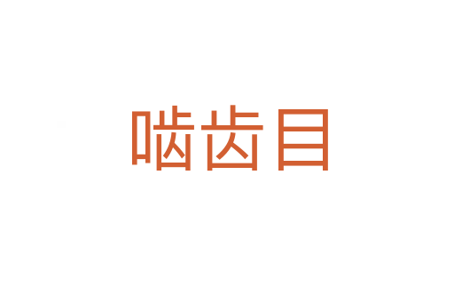 嚙齒目