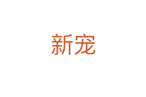 新寵