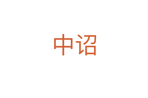中詔