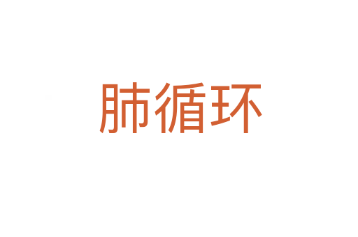 肺循環
