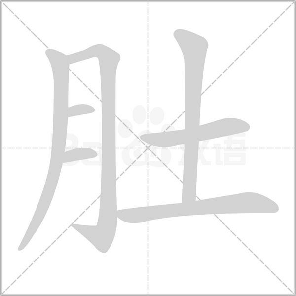 肚的筆順動(dòng)畫演示