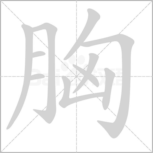 胸的筆順動(dòng)畫(huà)演示