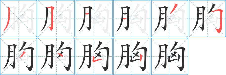 胸的筆順?lè)植窖菔?>
					
                    <hr />
                    <h2>胸的基本信息</h2>
                    <div   id=