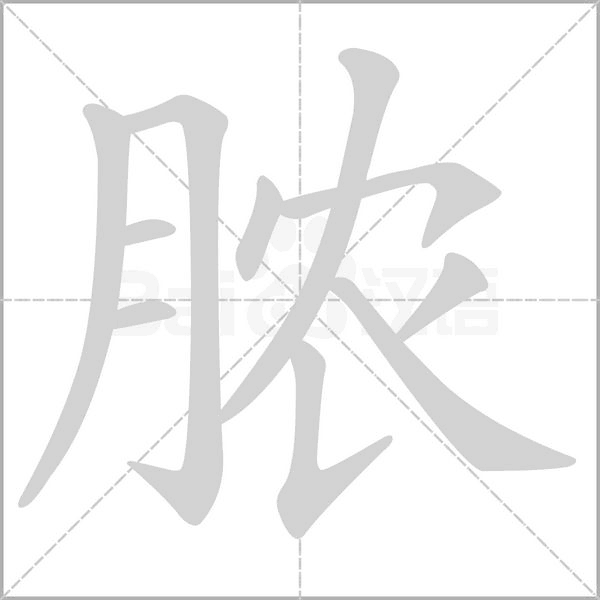 膿的筆順動(dòng)畫演示