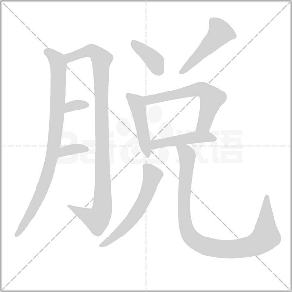 脫的筆順動(dòng)畫(huà)演示