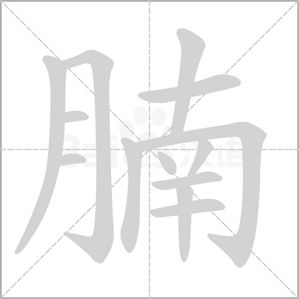 腩的筆順動畫演示