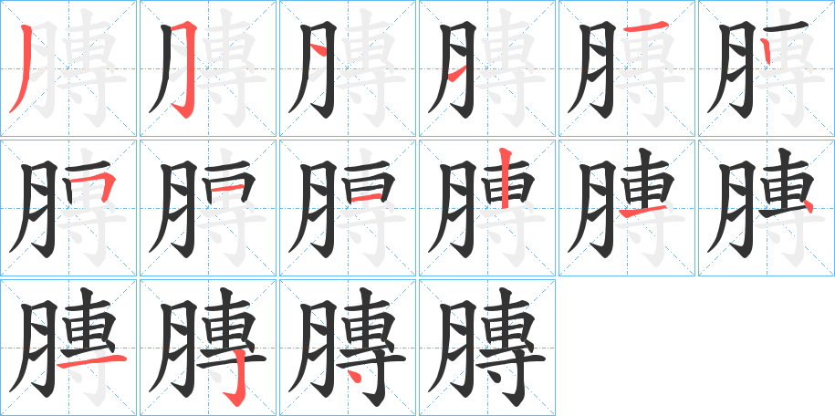 膞的筆順?lè)植窖菔?>
					
                    <hr />
                    <h2>膞的基本信息</h2>
                    <div   id=