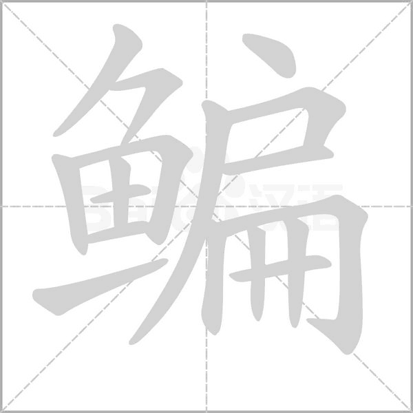 鳊的筆順動(dòng)畫演示